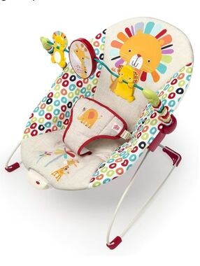 Bright Starts Portable Baby Bouncer